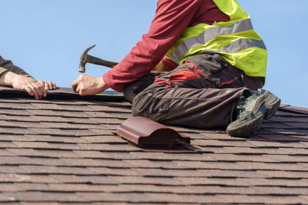 Best Roof Gutter Cleaning  in Asbury, IA