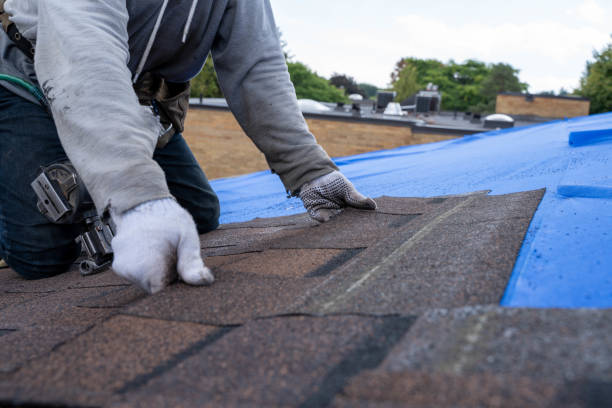 Best Roof Replacement Cost  in Asbury, IA