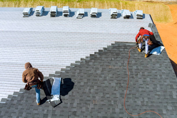 Best Roof Repair Services  in Asbury, IA