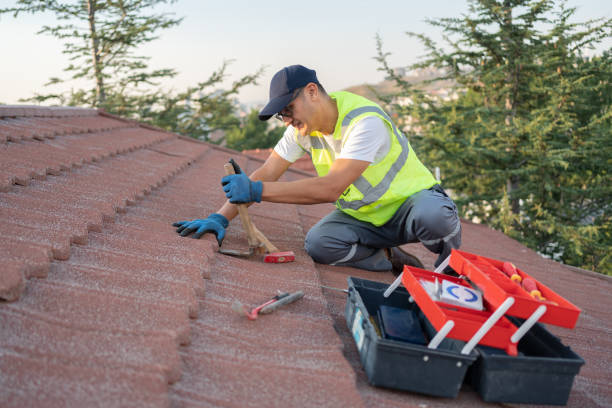 Best Affordable Roofing Company  in Asbury, IA