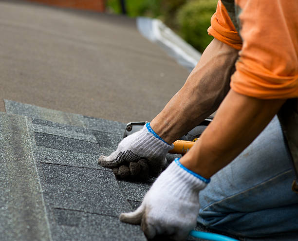 Best Roof Gutter Cleaning  in Asbury, IA