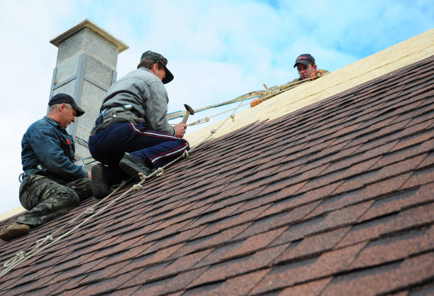 Best Flat Roof Repair Services  in Asbury, IA
